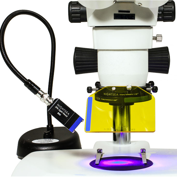 NightSea LED Fluorescence Illuminator