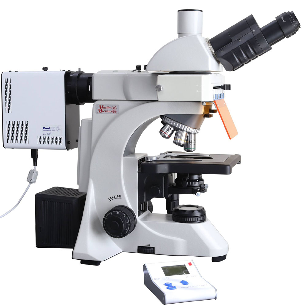 BA410TE-FL Epi-Fluorescence Microscope