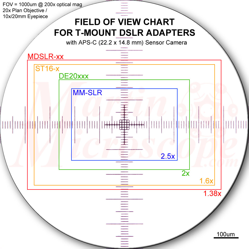 Field of View FOV Martin Microscope
