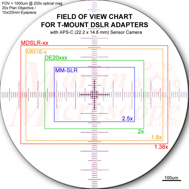 what is field of view fov in a microscope