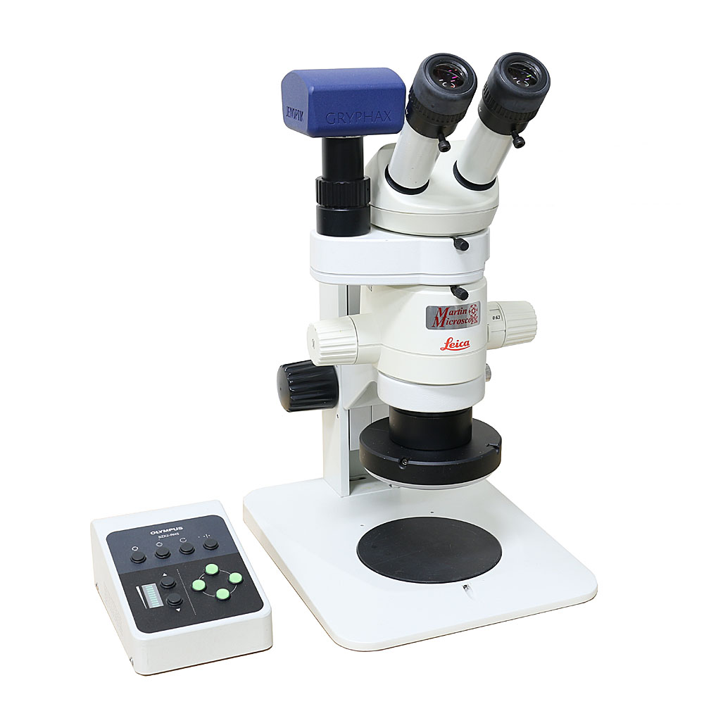 Leica MZ6 Plan Stereomicroscope with AVIOR Camera, Used