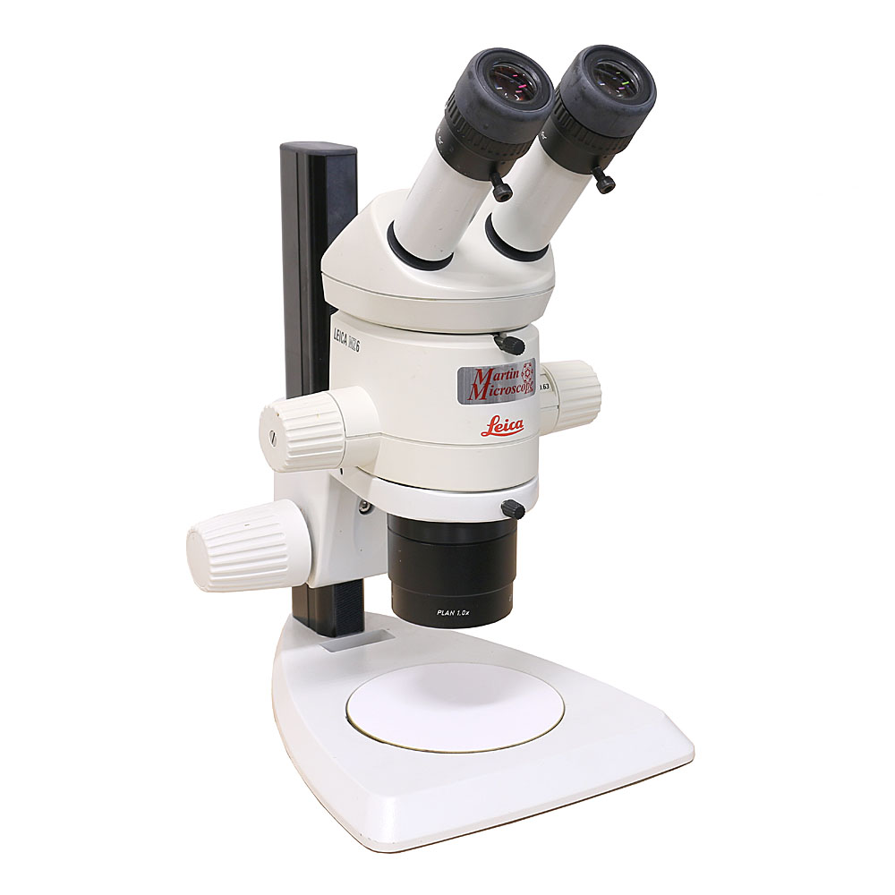 Leica MZ6 Stereomicroscope, Used