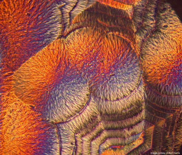 Nikon Epiphot 200 BD-DIC Inverted Metallograph, Used - Image 2