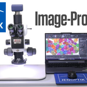 Image-Pro® AI Image Analysis Software by Media Cybernetics