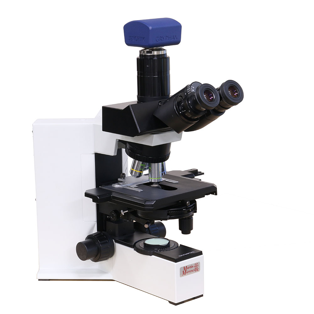 Olympus BX40 Trinocular Phase Contrast (Used)