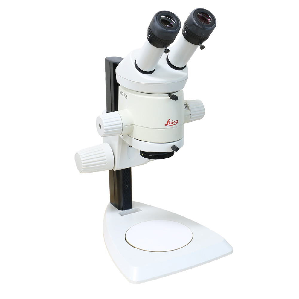 Leica MZ6 Stereomicroscope